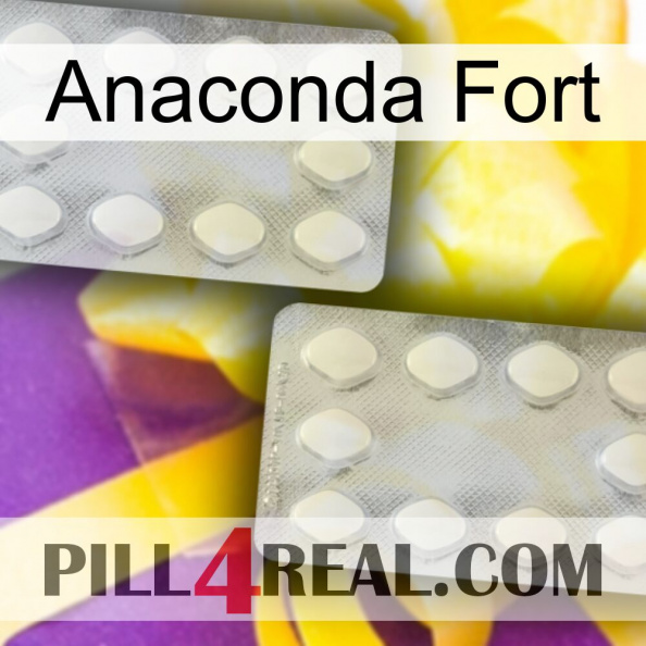 Anaconda Strong 17